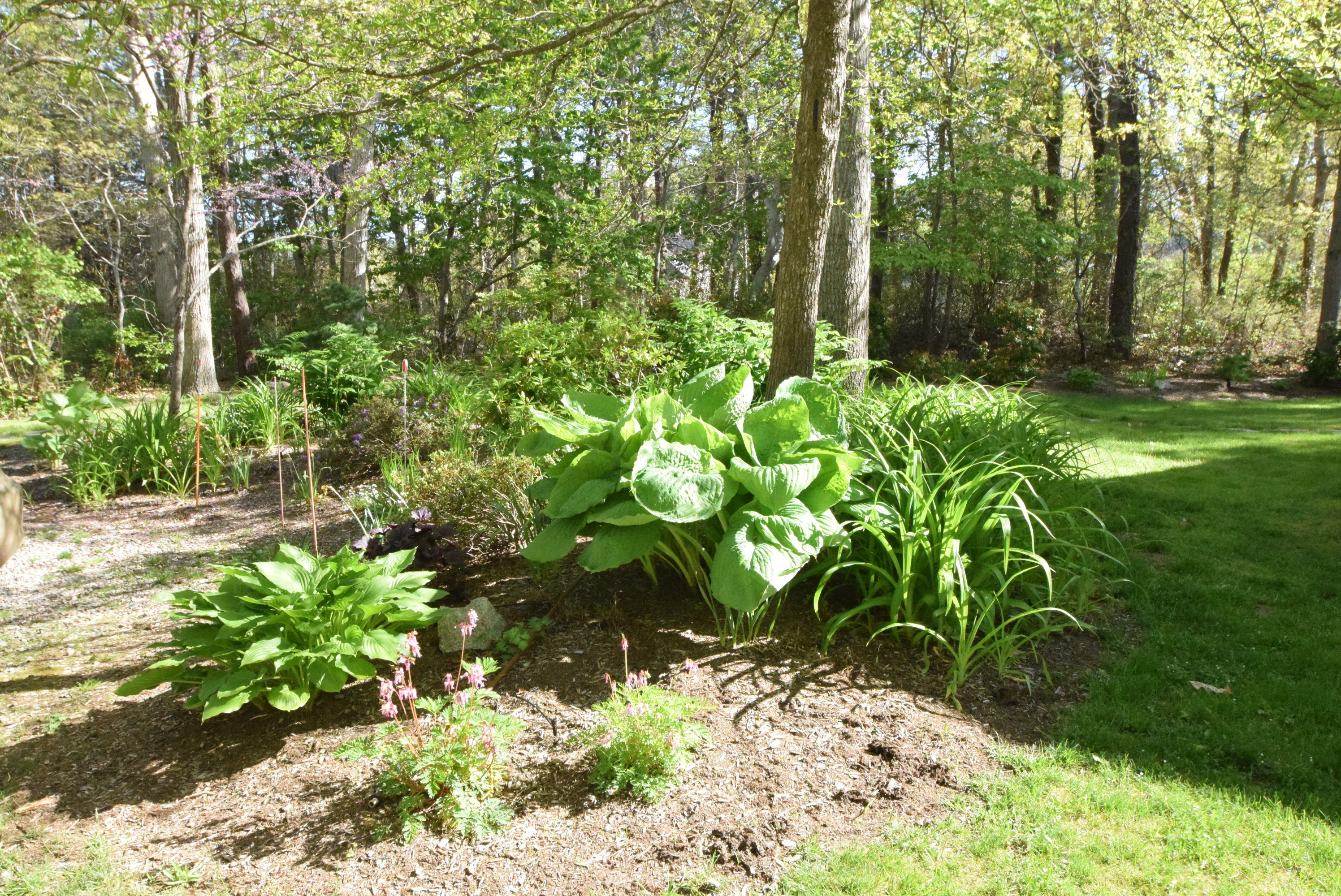 65Winslow FrontGarden