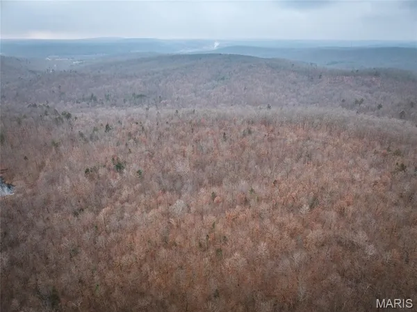 $142,000 | 0 Highway C Annapolis Mo 63620, Annapolis, MO 63620