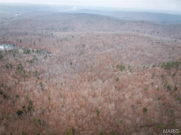 $142,000 | 0 Highway C Annapolis Mo 63620, Annapolis, MO 63620