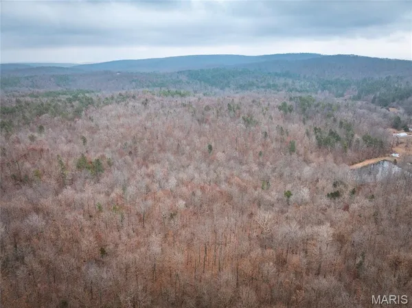 $142,000 | 0 Highway C Annapolis Mo 63620, Annapolis, MO 63620