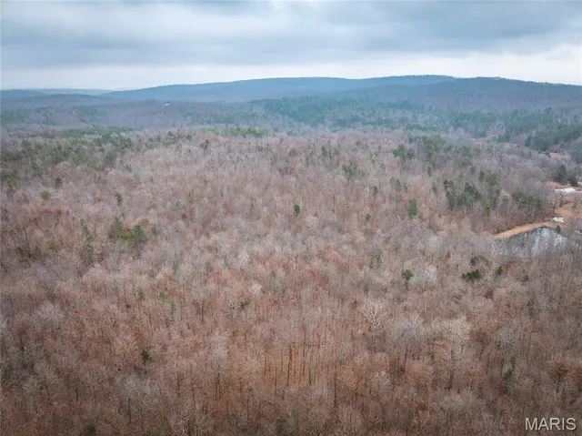 $149,700 | 0 Highway C Annapolis Mo 63620, Annapolis, MO 63620