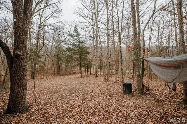 $149,700 | 0 Highway C Annapolis Mo 63620, Annapolis, MO 63620