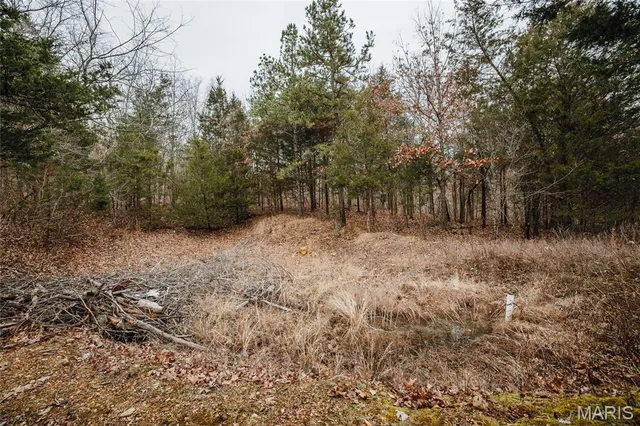 $149,700 | 0 Highway C Annapolis Mo 63620, Annapolis, MO 63620