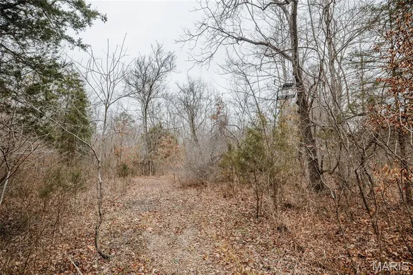 $142,000 | 0 Highway C Annapolis Mo 63620, Annapolis, MO 63620