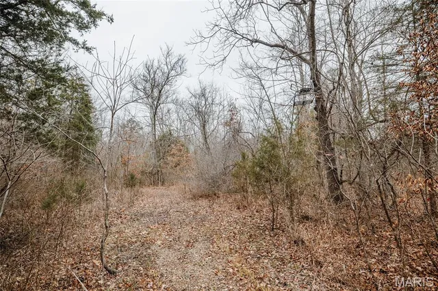 $149,700 | 0 Highway C Annapolis Mo 63620, Annapolis, MO 63620