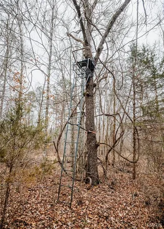 $142,000 | 0 Highway C Annapolis Mo 63620, Annapolis, MO 63620