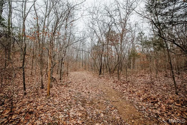 $142,000 | 0 Highway C Annapolis Mo 63620, Annapolis, MO 63620