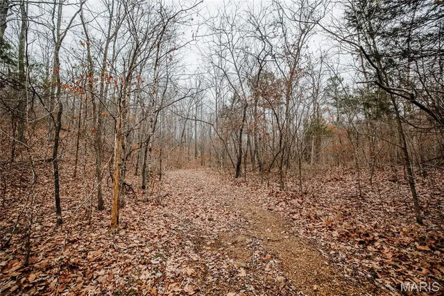 $149,700 | 0 Highway C Annapolis Mo 63620, Annapolis, MO 63620