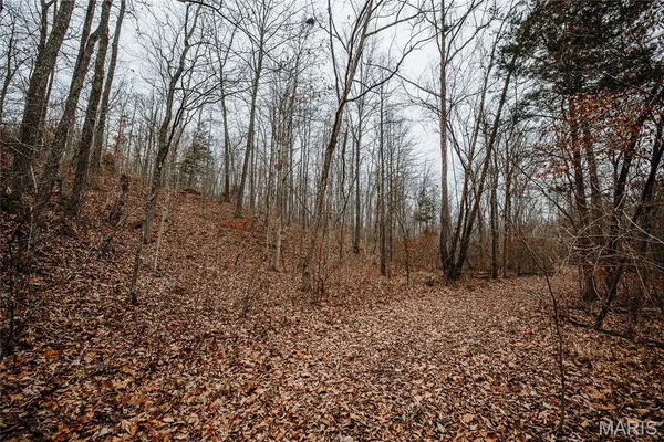 $142,000 | 0 Highway C Annapolis Mo 63620, Annapolis, MO 63620