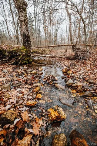 $149,700 | 0 Highway C Annapolis Mo 63620, Annapolis, MO 63620