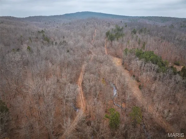 $142,000 | 0 Highway C Annapolis Mo 63620, Annapolis, MO 63620