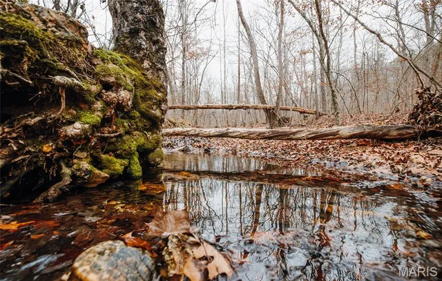 $149,700 | 0 Highway C Annapolis Mo 63620, Annapolis, MO 63620