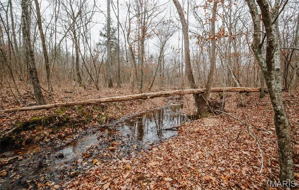 $142,000 | 0 Highway C Annapolis Mo 63620, Annapolis, MO 63620