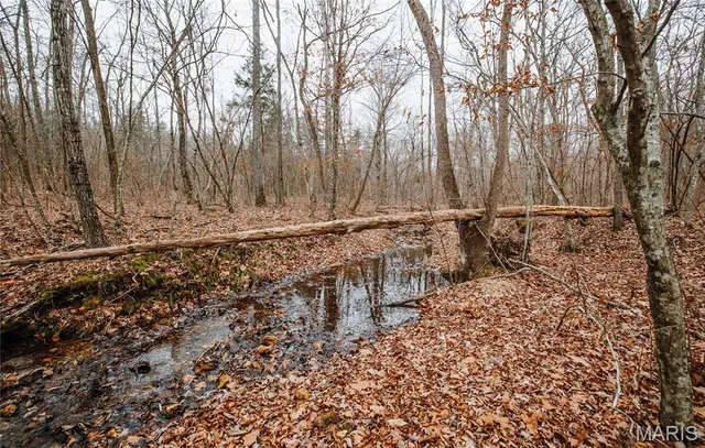 $149,700 | 0 Highway C Annapolis Mo 63620, Annapolis, MO 63620