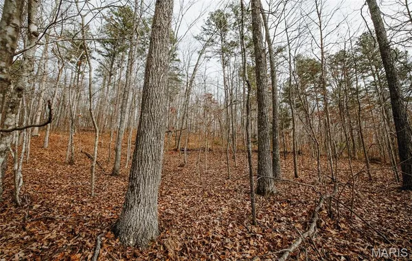 $142,000 | 0 Highway C Annapolis Mo 63620, Annapolis, MO 63620