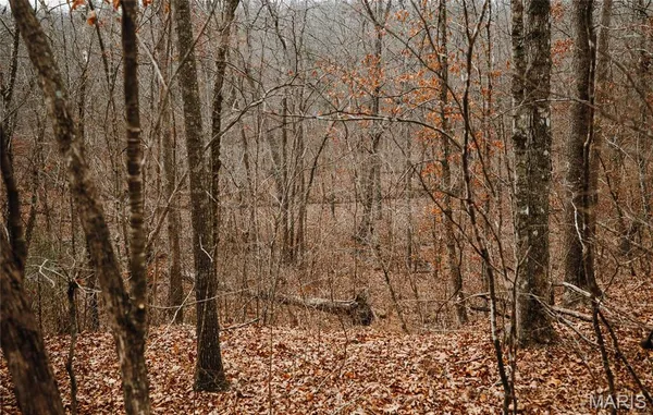 $142,000 | 0 Highway C Annapolis Mo 63620, Annapolis, MO 63620