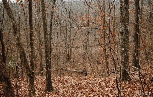 $149,700 | 0 Highway C Annapolis Mo 63620, Annapolis, MO 63620