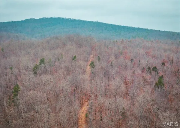 $142,000 | 0 Highway C Annapolis Mo 63620, Annapolis, MO 63620