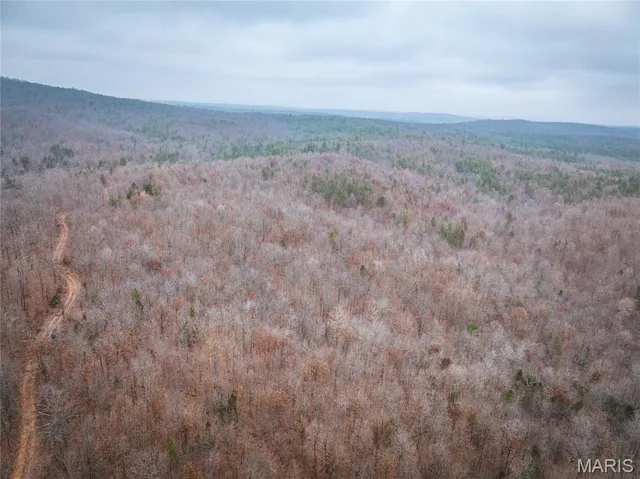 $149,700 | 0 Highway C Annapolis Mo 63620, Annapolis, MO 63620