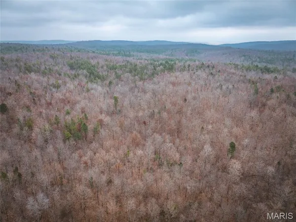 $142,000 | 0 Highway C Annapolis Mo 63620, Annapolis, MO 63620