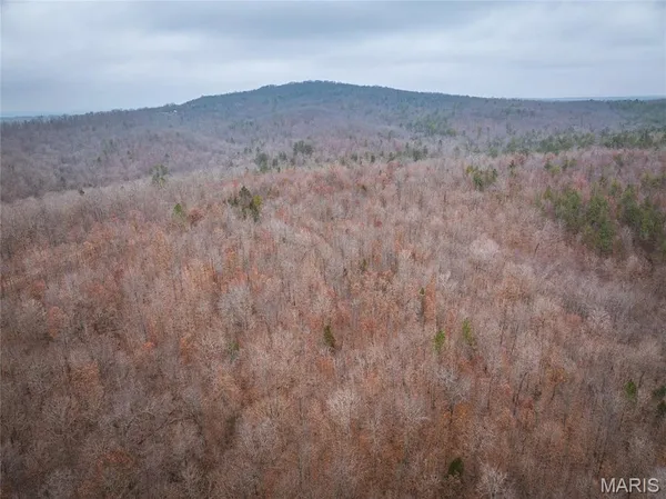 $142,000 | 0 Highway C Annapolis Mo 63620, Annapolis, MO 63620