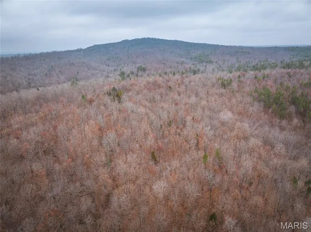 $149,700 | 0 Highway C Annapolis Mo 63620, Annapolis, MO 63620