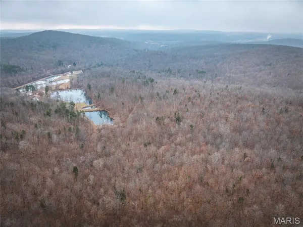 $142,000 | 0 Highway C Annapolis Mo 63620, Annapolis, MO 63620