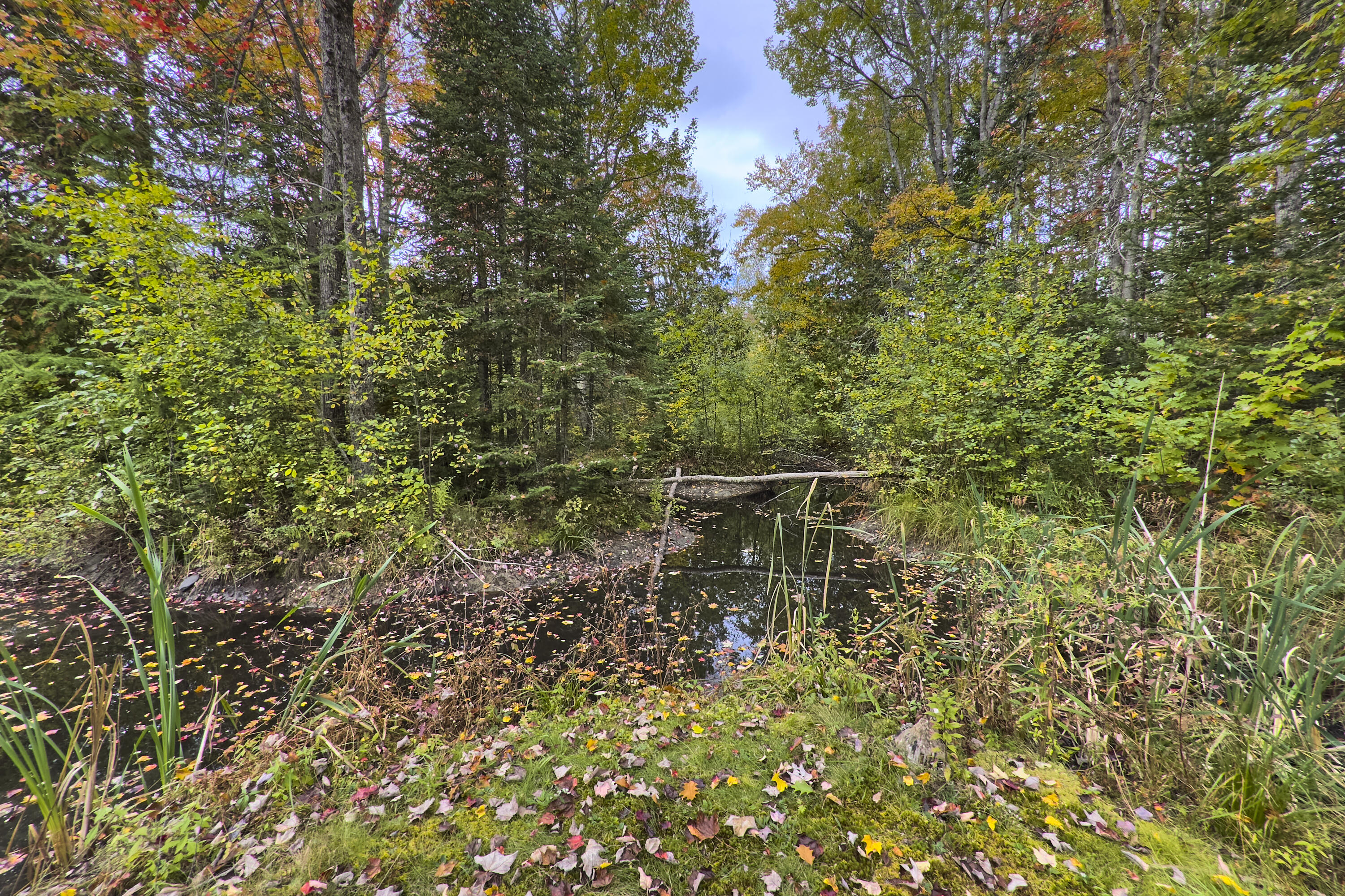 9 Eagle Road Northport, ME 04849 - Photo 47 of 47 35 - 9 Eagle Road - Northport - JAC
