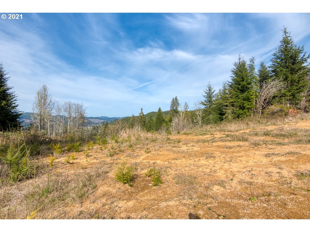 65887 Sunshine Road Coos Bay, OR 97420 - Photo 8 of 14 Gallery Image 8