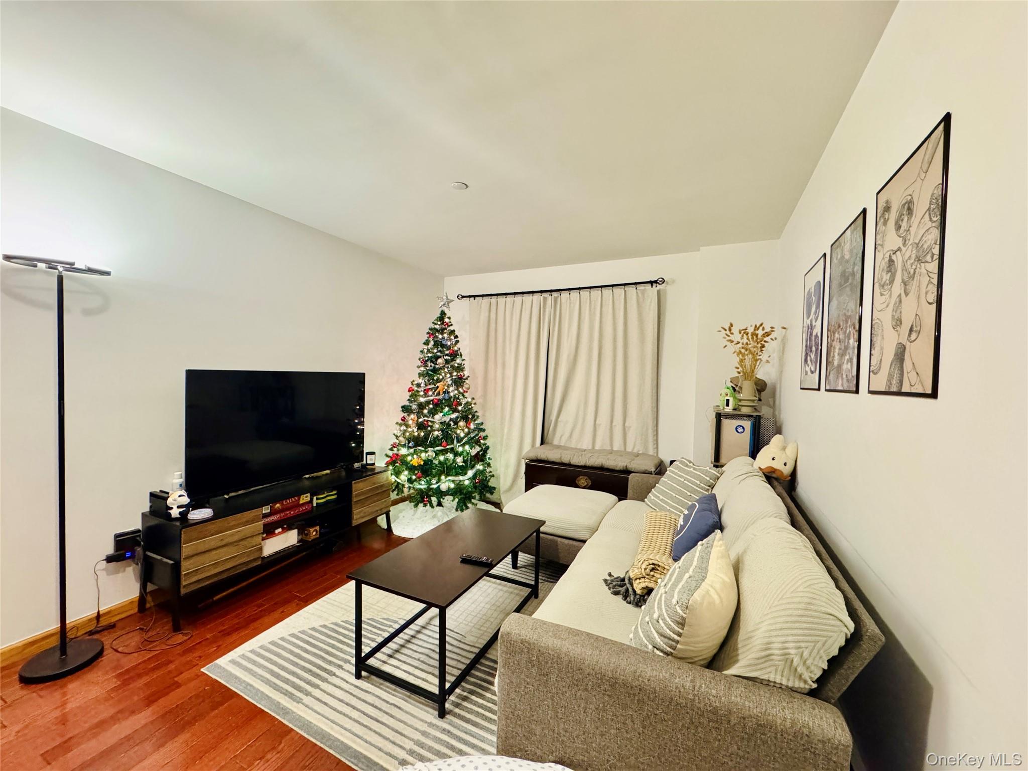 37-49 81st Street, Unit 3A Queens, NY 11372 - Photo 17 of 20 a living room with furniture and a flat screen tv