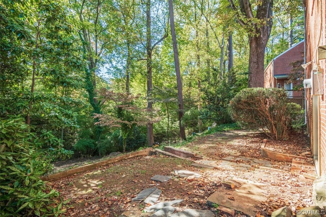 4124 Hillcrest Road Richmond, VA 23225 - Photo 34 of 34 a view of a yard with plants and trees