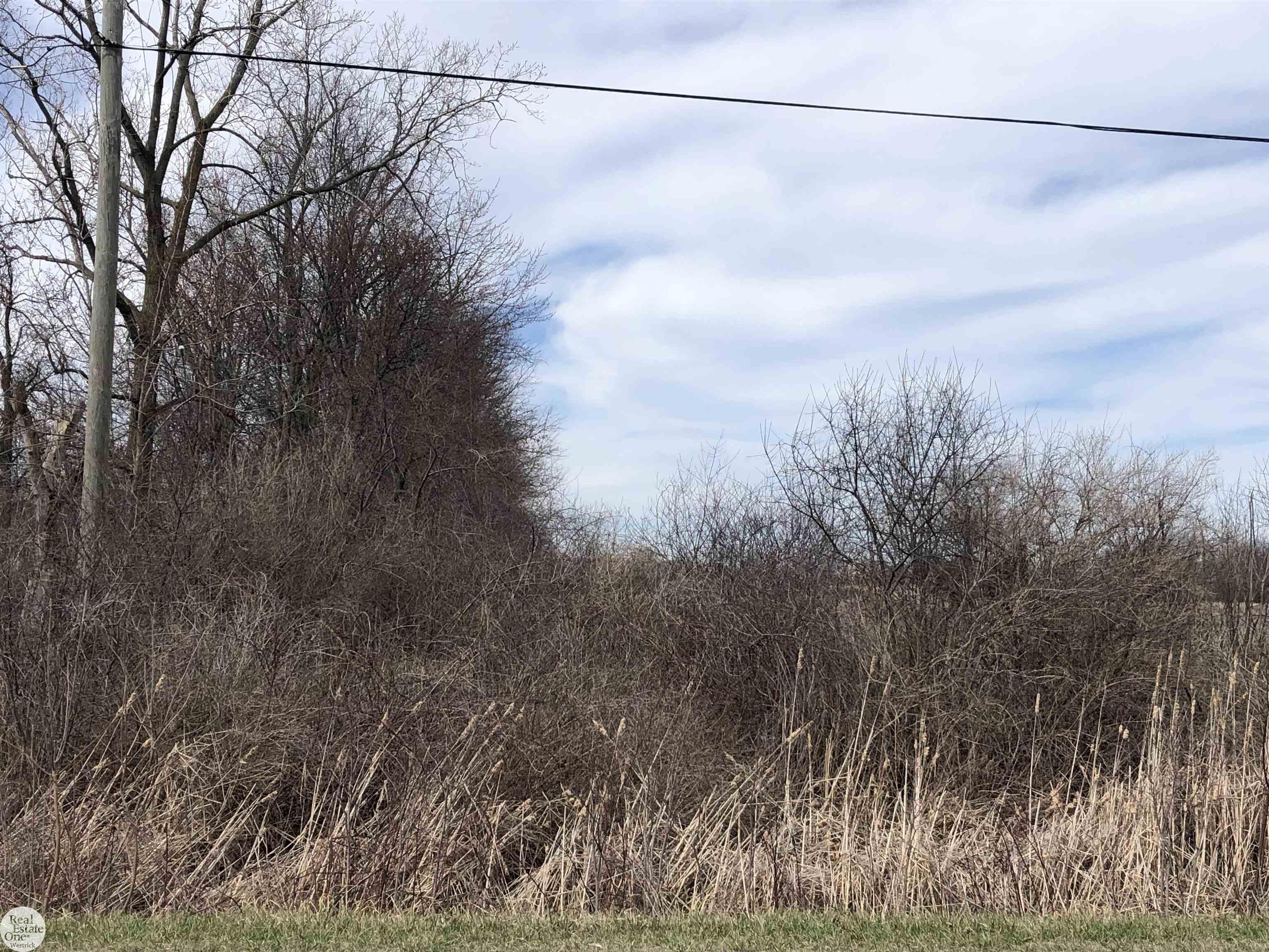 0 Short Cut Road Marine City, MI 48039 - Photo 1 of 4