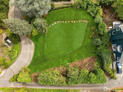 a view of a garden