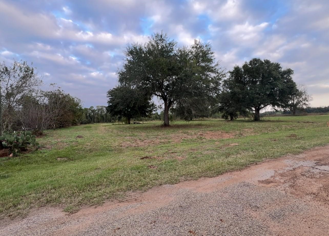 0 River Ridge Road Sealy, TX 77474 - Photo 6 of 18