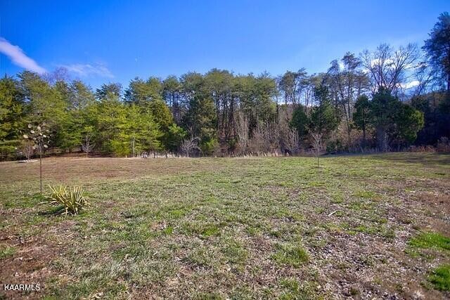 7445 Niles Ferry Road Greenback, TN 37742 - Photo 24 of 26 Gallery Image 24