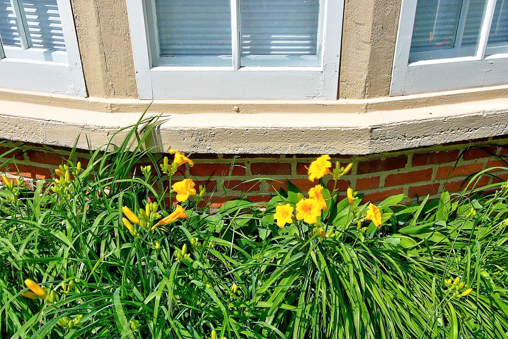 617 West 3rd Street Red Wing, MN 55066 - Photo 46 of 49