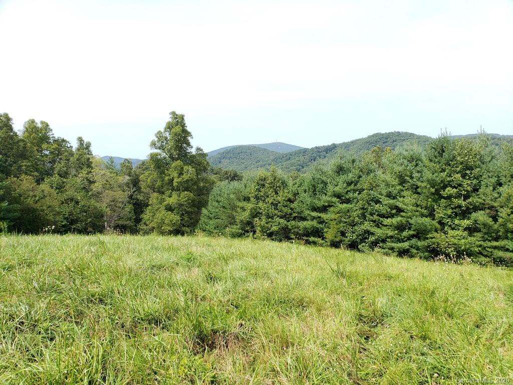 0 Garren Creek Road Fairview, NC 28730 - Photo 14 of 26 Gallery Image 14