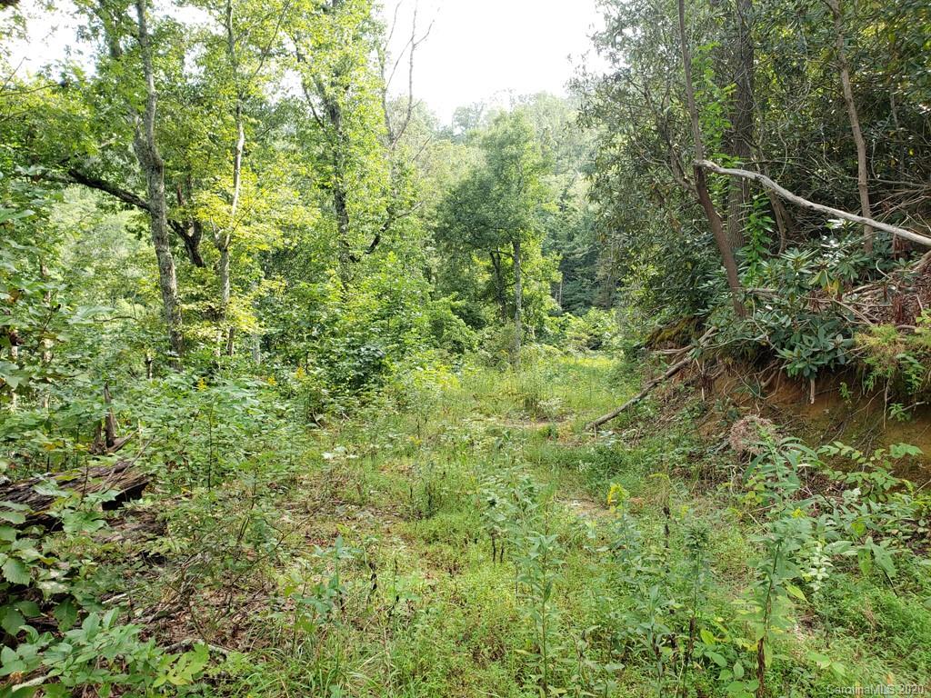 0 Garren Creek Road Fairview, NC 28730 - Photo 22 of 26 Gallery Image 22
