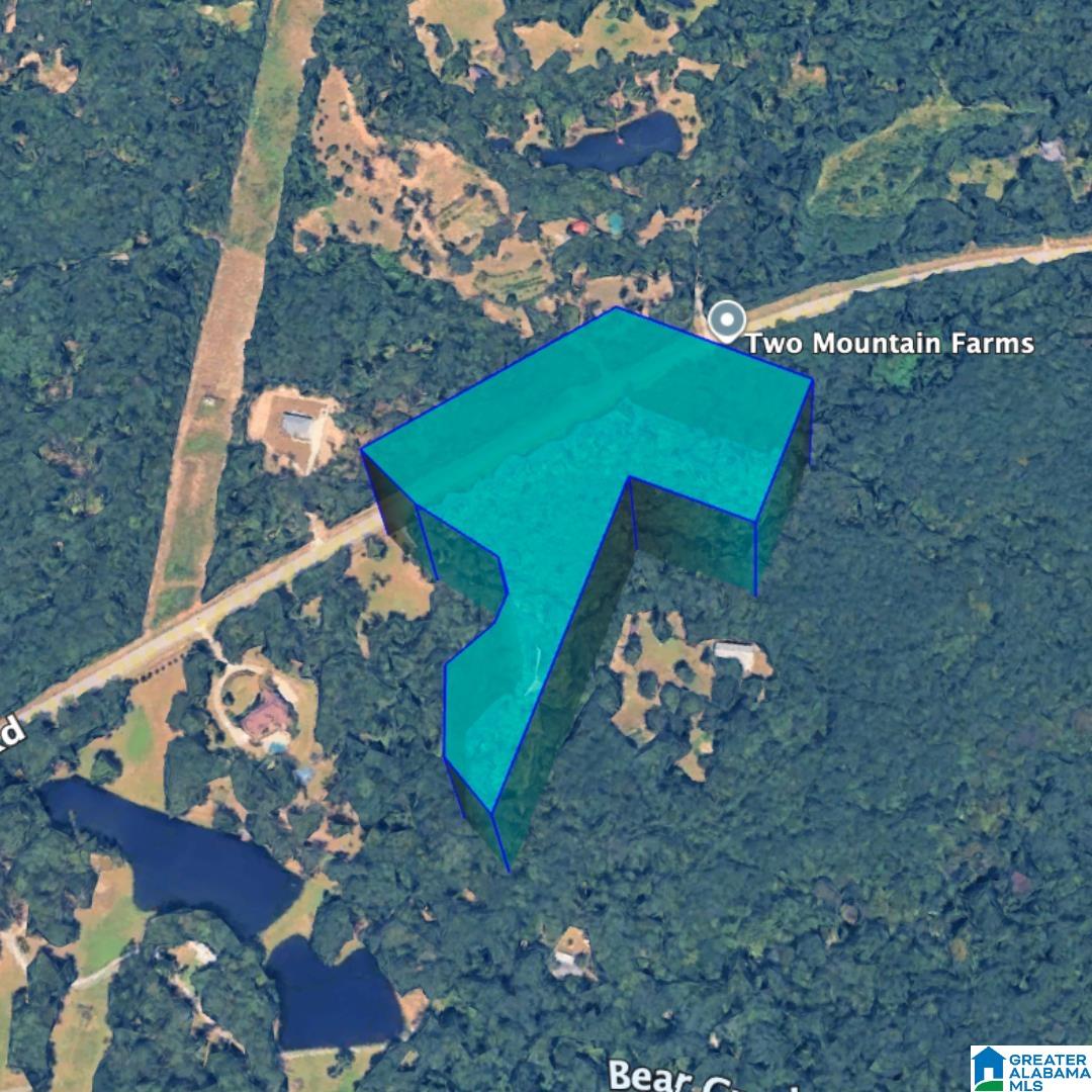 0 Bear Creek Road Sterrett, AL 35147 - Photo 4 of 12