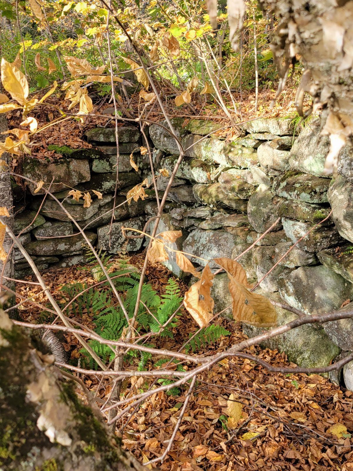 287 Chamberlain Hill Road Vershire, VT 05079 - Photo 27 of 34