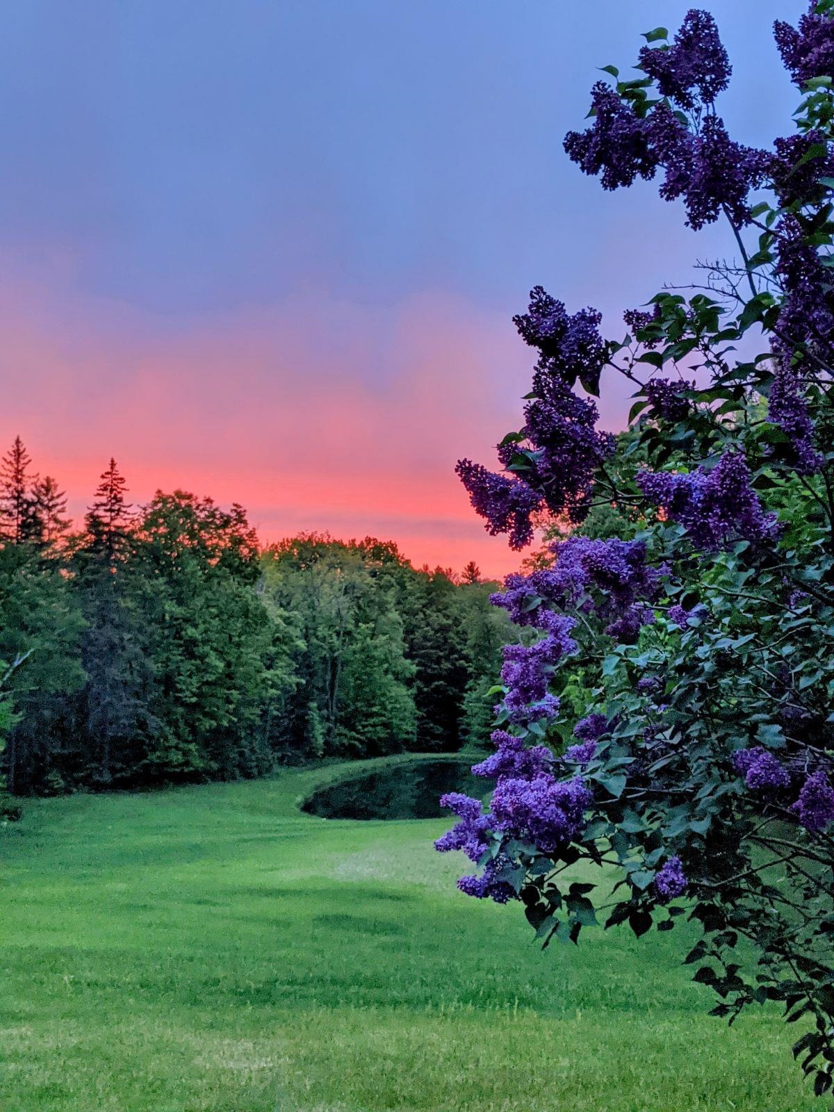 287 Chamberlain Hill Road Vershire, VT 05079 - Photo 3 of 34