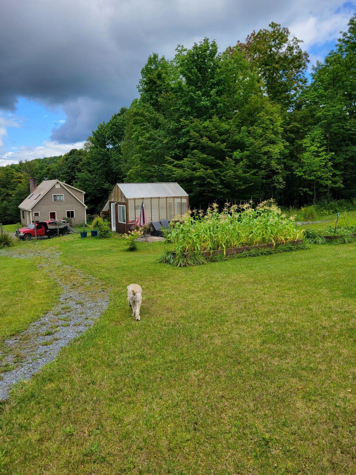 287 Chamberlain Hill Road Vershire, VT 05079 - Photo 32 of 34