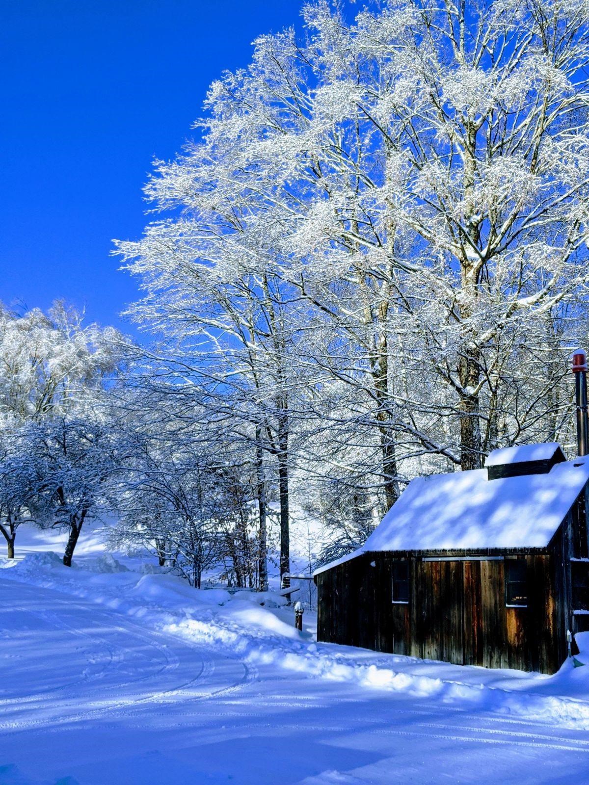 287 Chamberlain Hill Road Vershire, VT 05079 - Photo 5 of 34