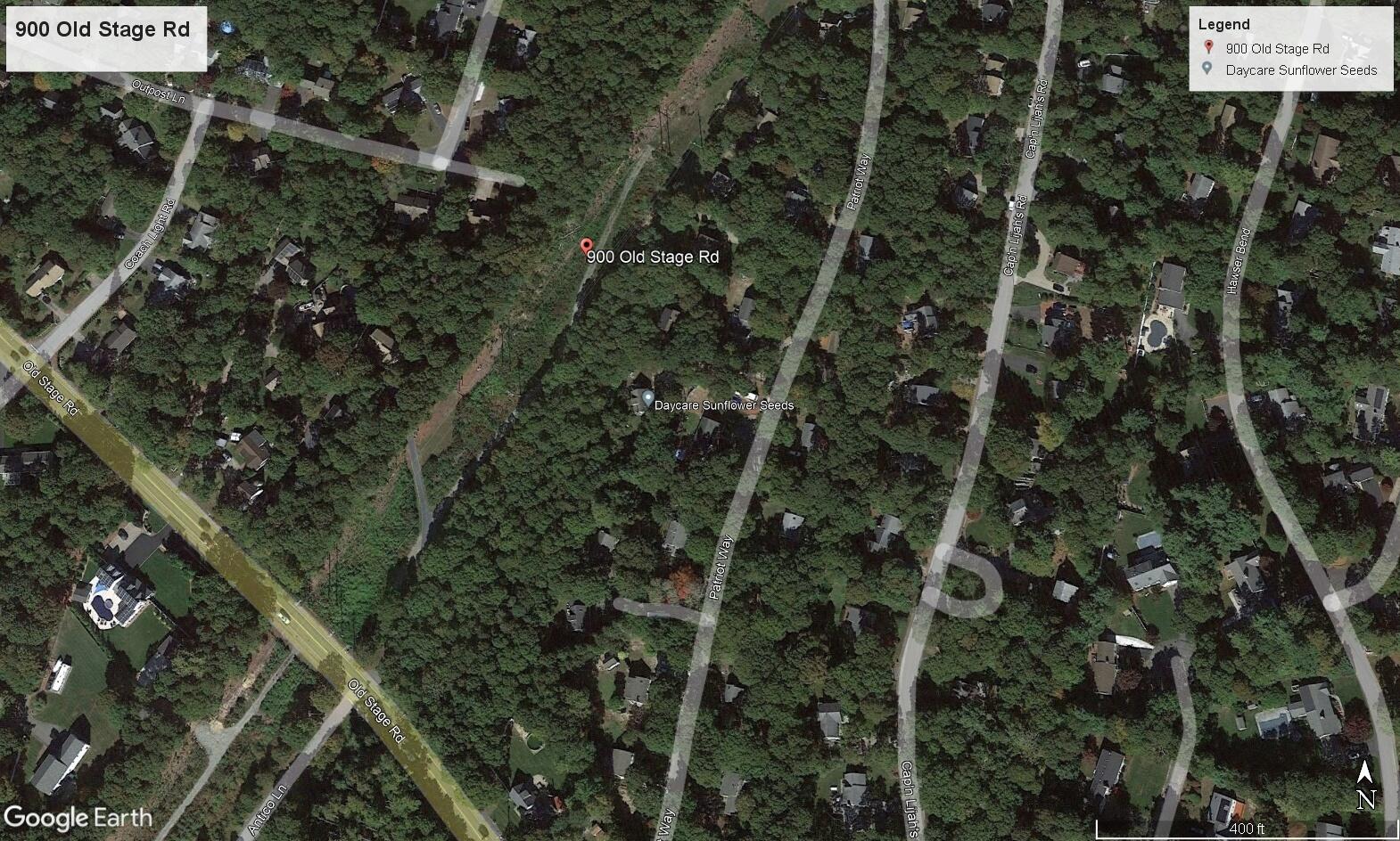 a view of a forest