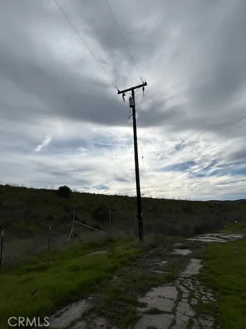 a view of a garden with a tree in the background