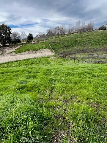 a view of a field with an trees