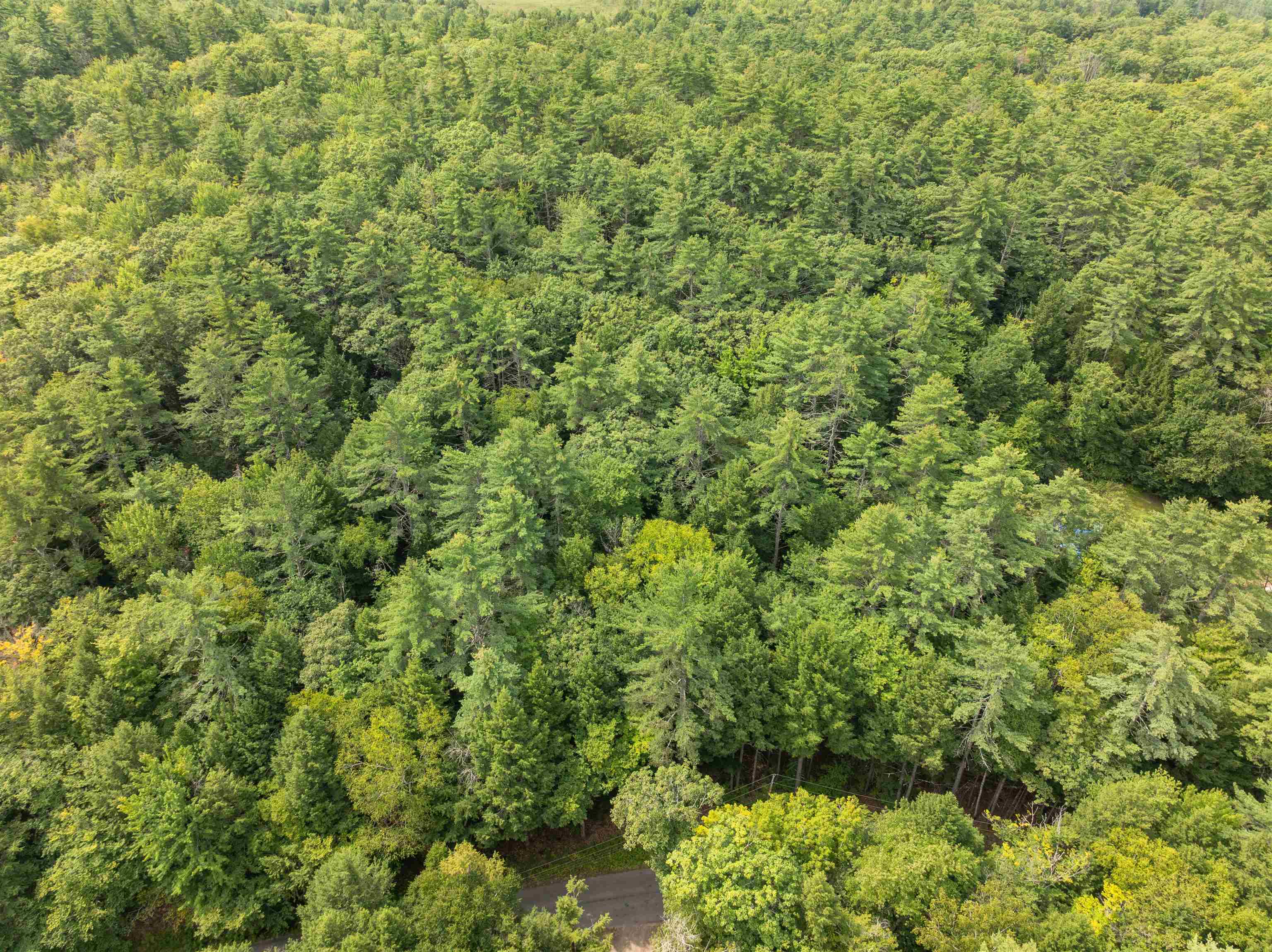 32 Forest Pond Road New Hampton, NH 03256 - Photo 15 of 17 Gallery Image 15