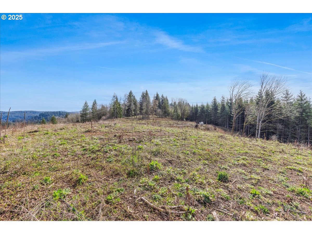 0 Southeast Herrick Road Sandy, OR 97055 - Photo 15 of 35 Gallery Image 15