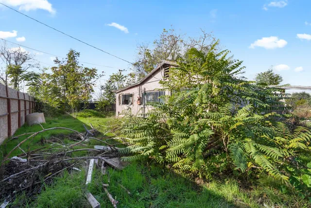a view of a yard with an trees