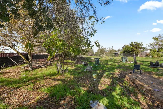 a view of a yard with a tree